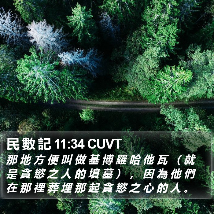 民 數 記 11:34 CUVT Bible Study