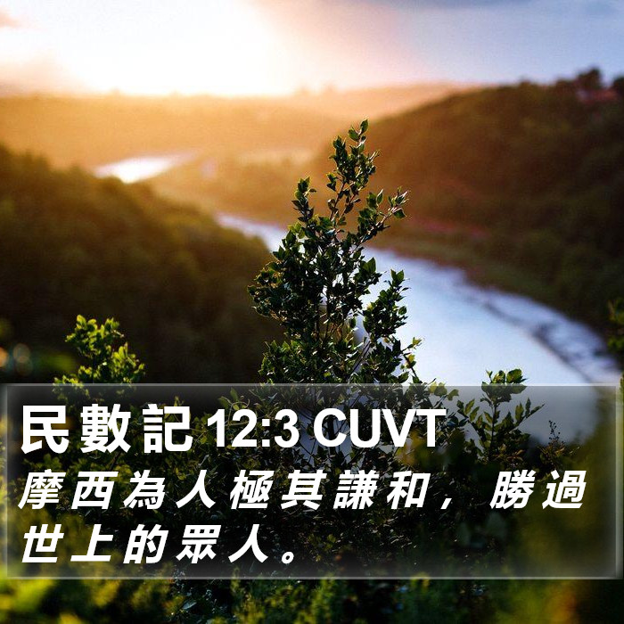 民 數 記 12:3 CUVT Bible Study