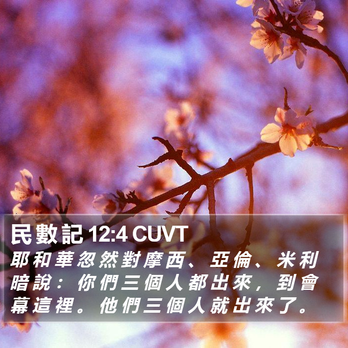 民 數 記 12:4 CUVT Bible Study