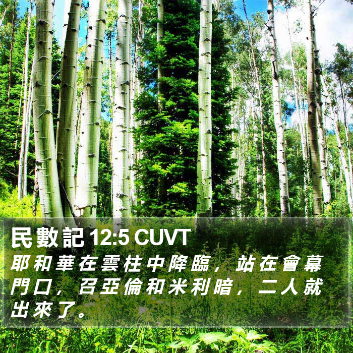 民 數 記 12:5 CUVT Bible Study