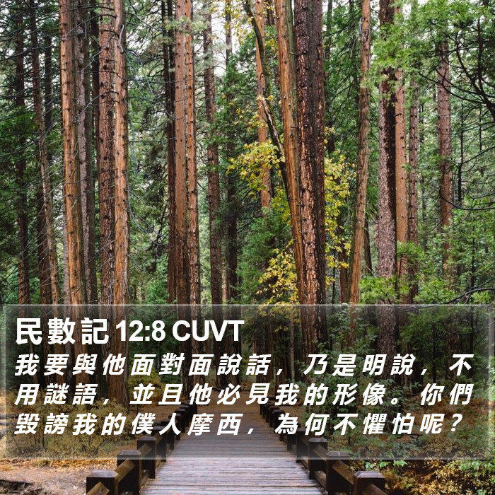 民 數 記 12:8 CUVT Bible Study