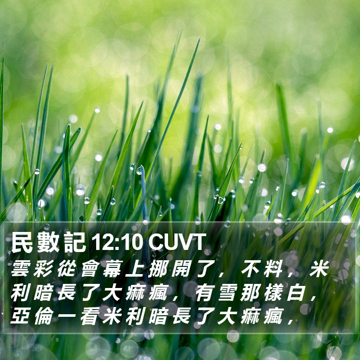 民 數 記 12:10 CUVT Bible Study