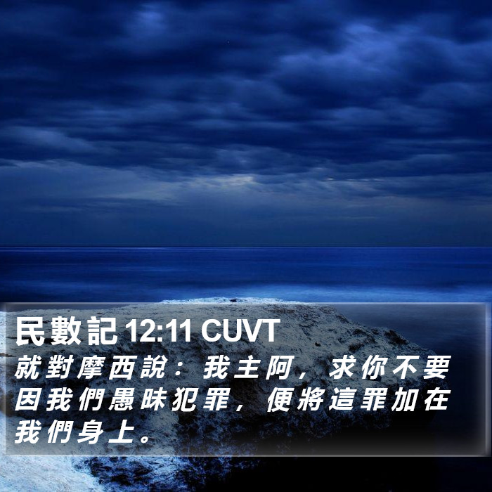 民 數 記 12:11 CUVT Bible Study