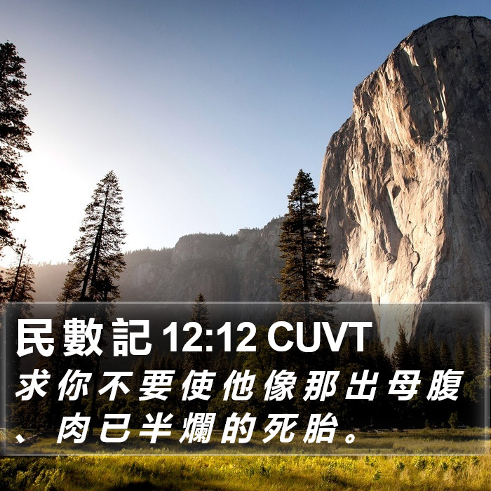 民 數 記 12:12 CUVT Bible Study