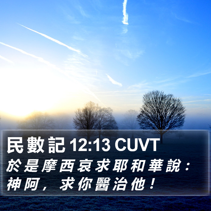 民 數 記 12:13 CUVT Bible Study