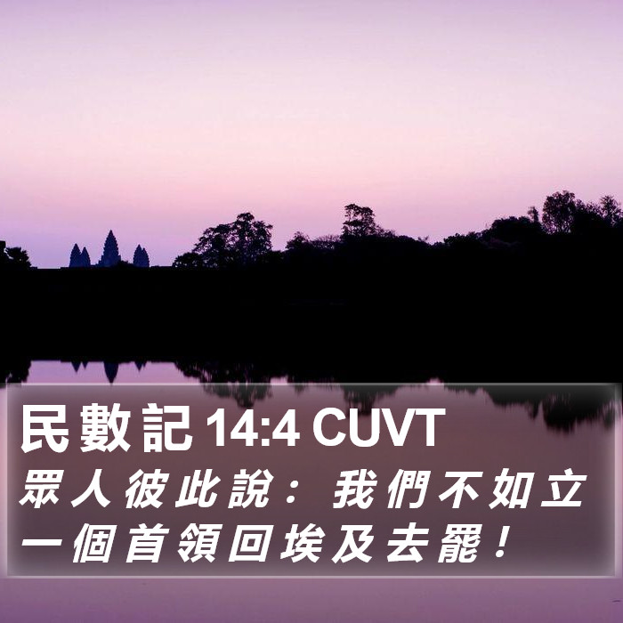 民 數 記 14:4 CUVT Bible Study