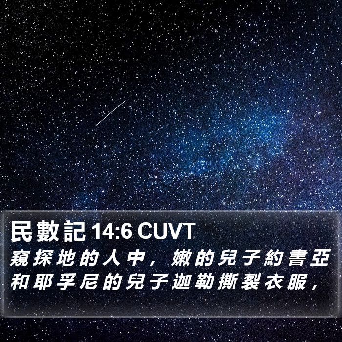 民 數 記 14:6 CUVT Bible Study