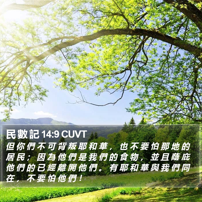 民 數 記 14:9 CUVT Bible Study