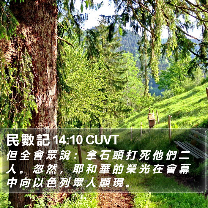 民 數 記 14:10 CUVT Bible Study