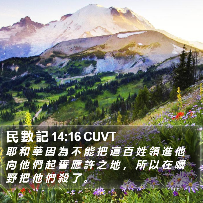 民 數 記 14:16 CUVT Bible Study