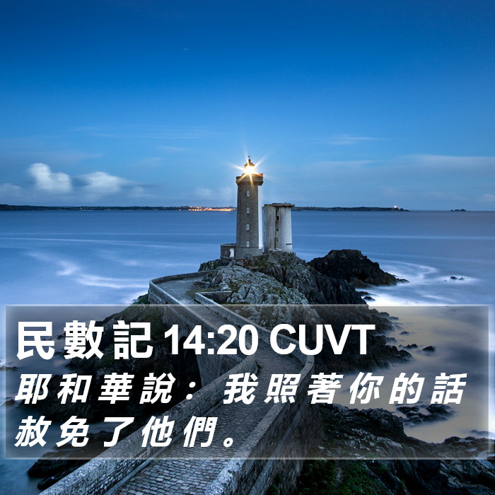 民 數 記 14:20 CUVT Bible Study