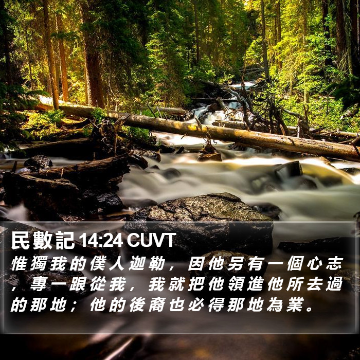民 數 記 14:24 CUVT Bible Study