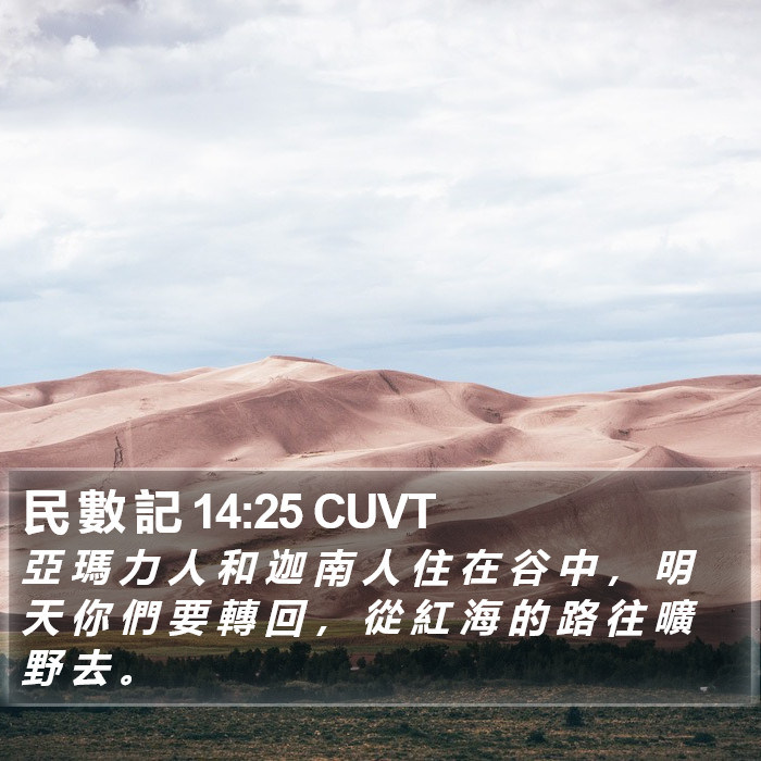 民 數 記 14:25 CUVT Bible Study