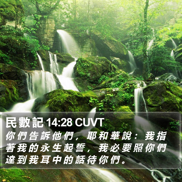 民 數 記 14:28 CUVT Bible Study