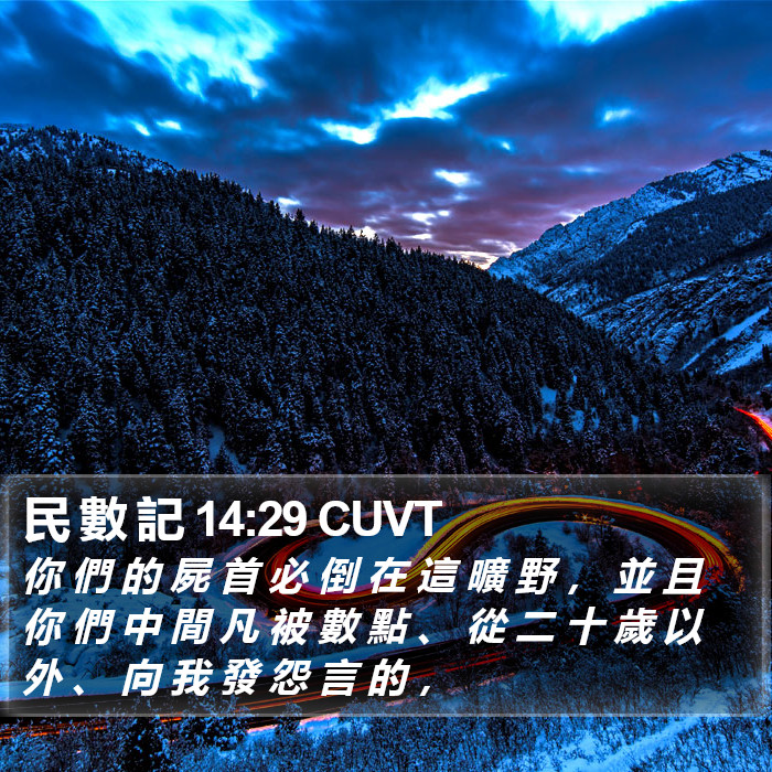 民 數 記 14:29 CUVT Bible Study