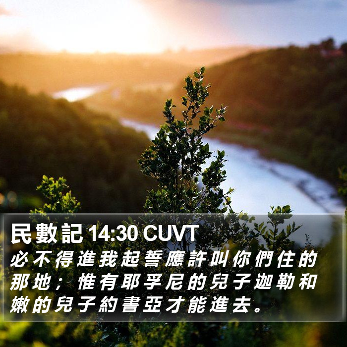 民 數 記 14:30 CUVT Bible Study