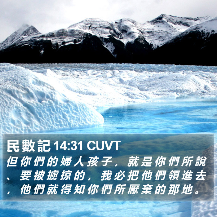 民 數 記 14:31 CUVT Bible Study