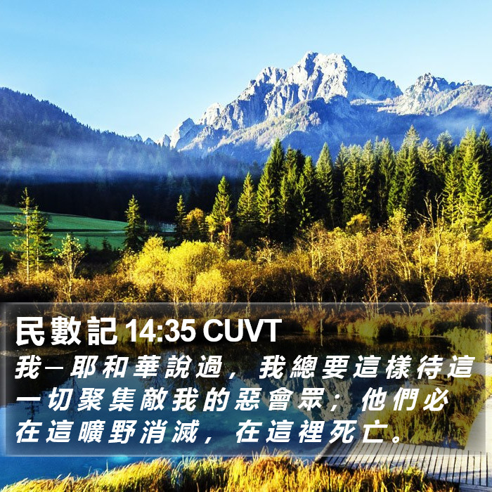 民 數 記 14:35 CUVT Bible Study