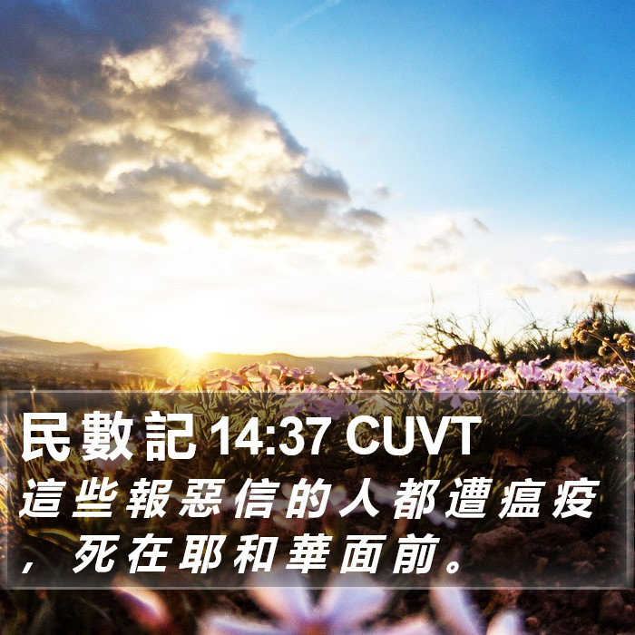 民 數 記 14:37 CUVT Bible Study