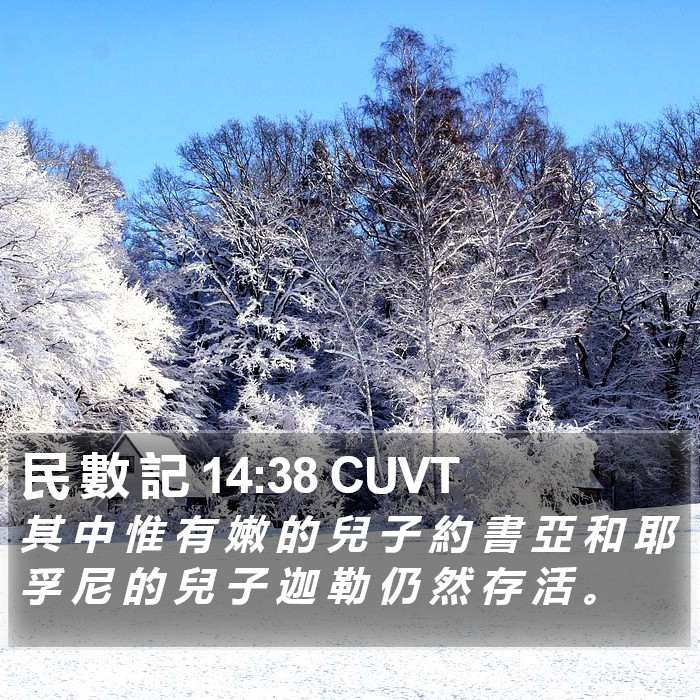 民 數 記 14:38 CUVT Bible Study