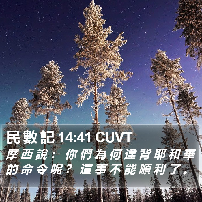 民 數 記 14:41 CUVT Bible Study