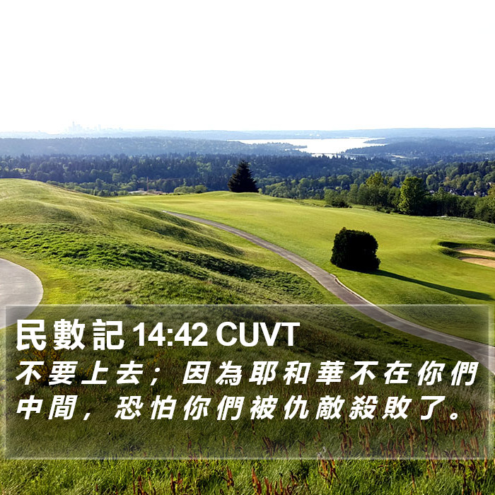 民 數 記 14:42 CUVT Bible Study