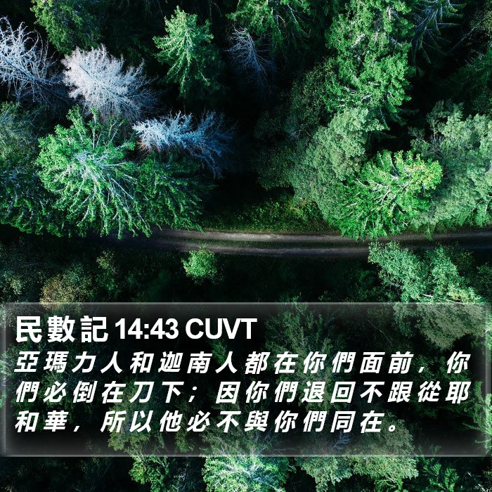 民 數 記 14:43 CUVT Bible Study