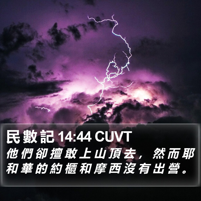 民 數 記 14:44 CUVT Bible Study