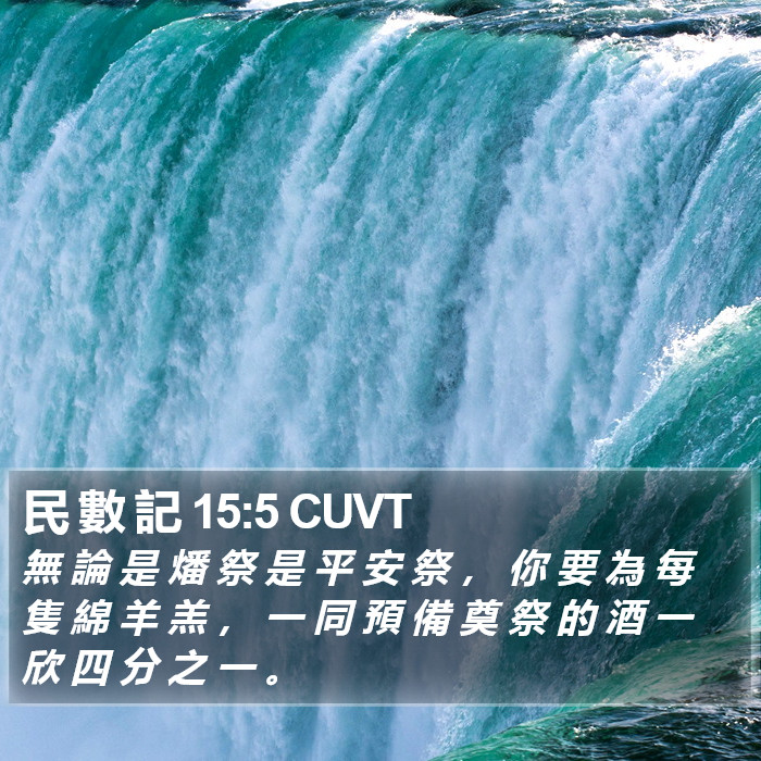 民 數 記 15:5 CUVT Bible Study