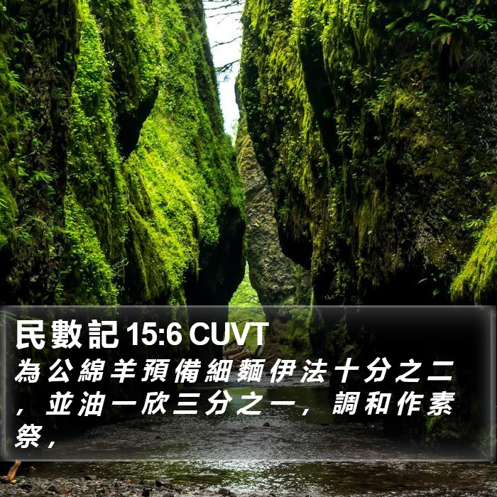 民 數 記 15:6 CUVT Bible Study