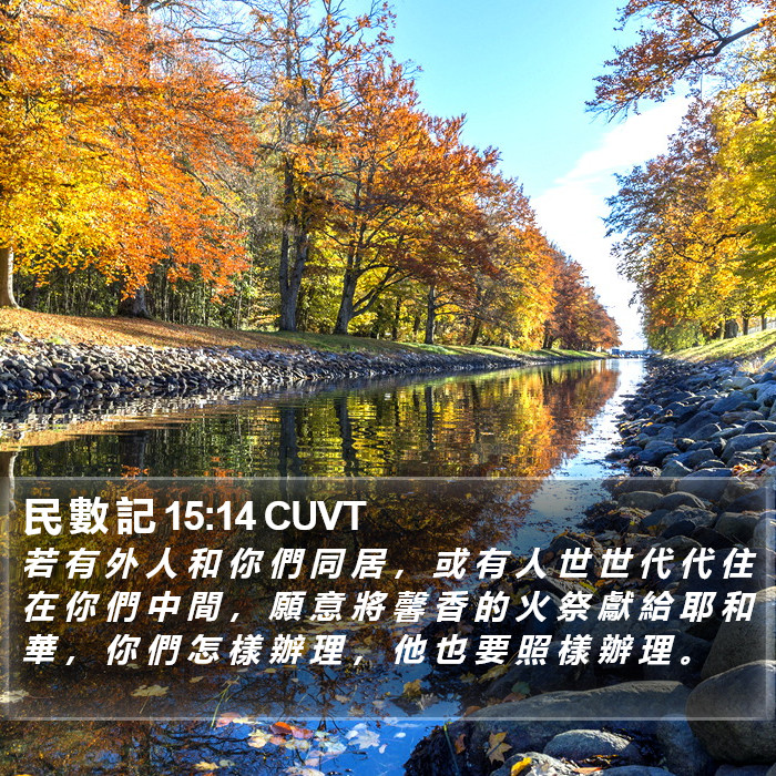 民 數 記 15:14 CUVT Bible Study