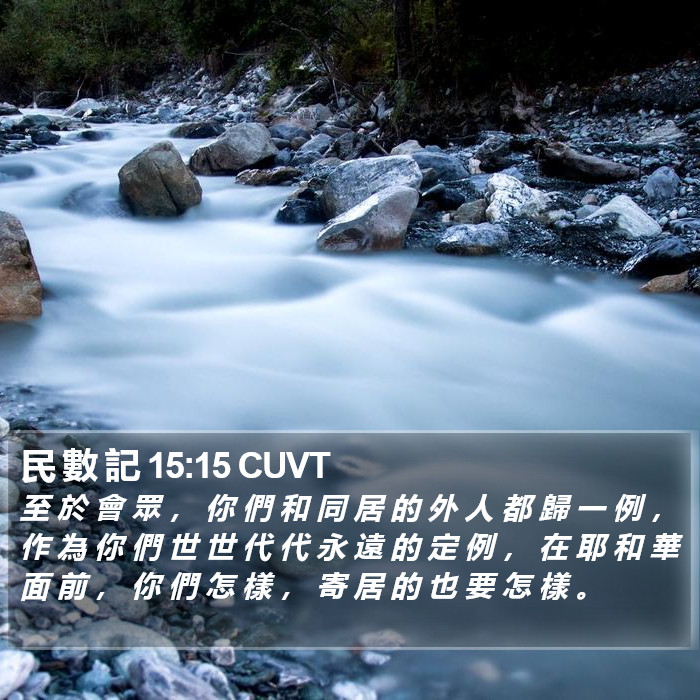 民 數 記 15:15 CUVT Bible Study