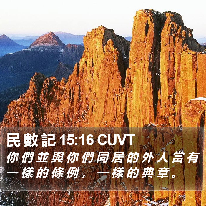 民 數 記 15:16 CUVT Bible Study