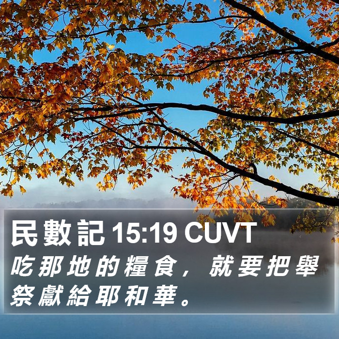 民 數 記 15:19 CUVT Bible Study