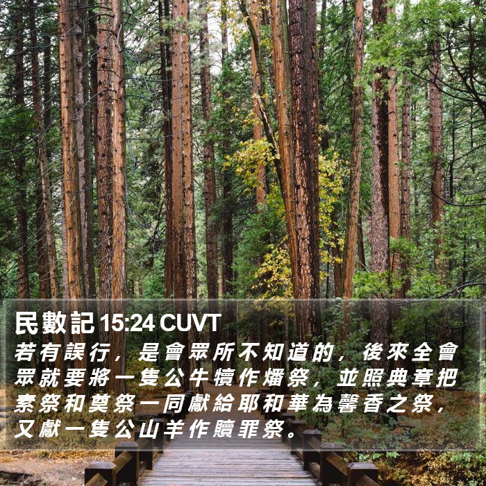 民 數 記 15:24 CUVT Bible Study