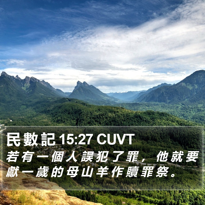 民 數 記 15:27 CUVT Bible Study