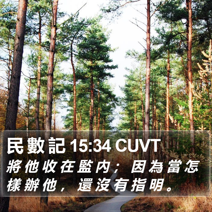 民 數 記 15:34 CUVT Bible Study