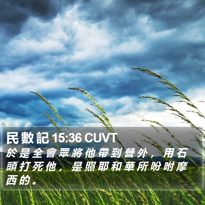 民 數 記 15:36 CUVT Bible Study