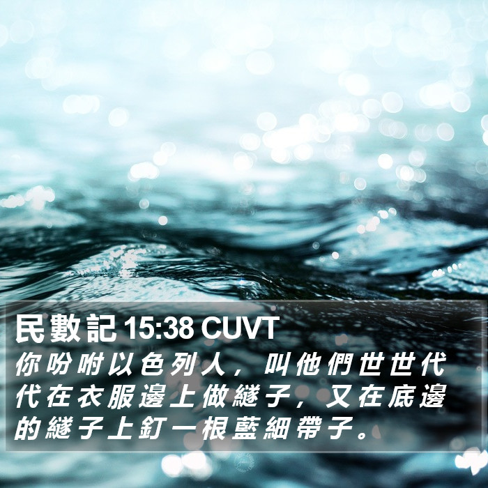 民 數 記 15:38 CUVT Bible Study