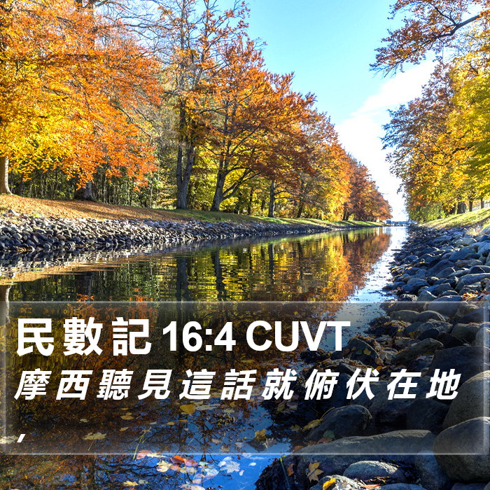 民 數 記 16:4 CUVT Bible Study