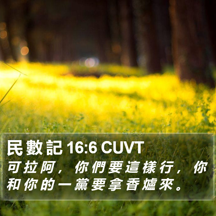 民 數 記 16:6 CUVT Bible Study