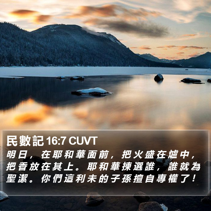 民 數 記 16:7 CUVT Bible Study