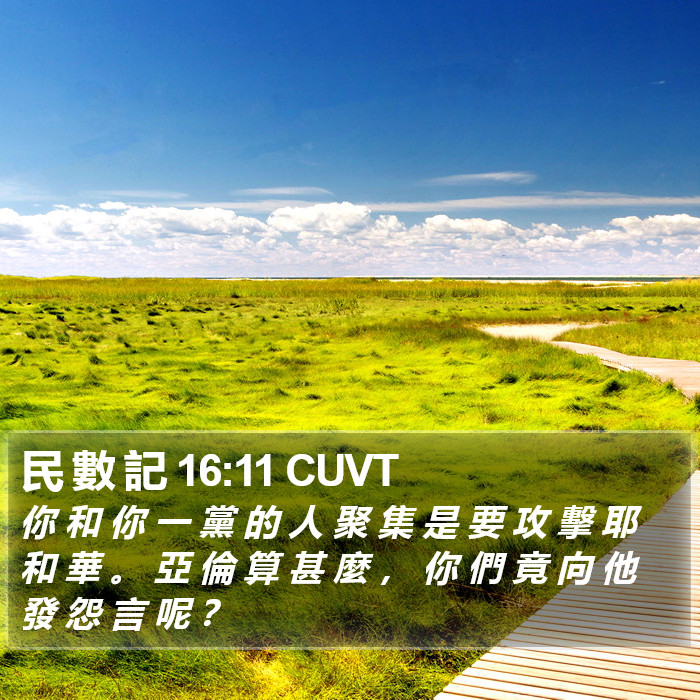 民 數 記 16:11 CUVT Bible Study