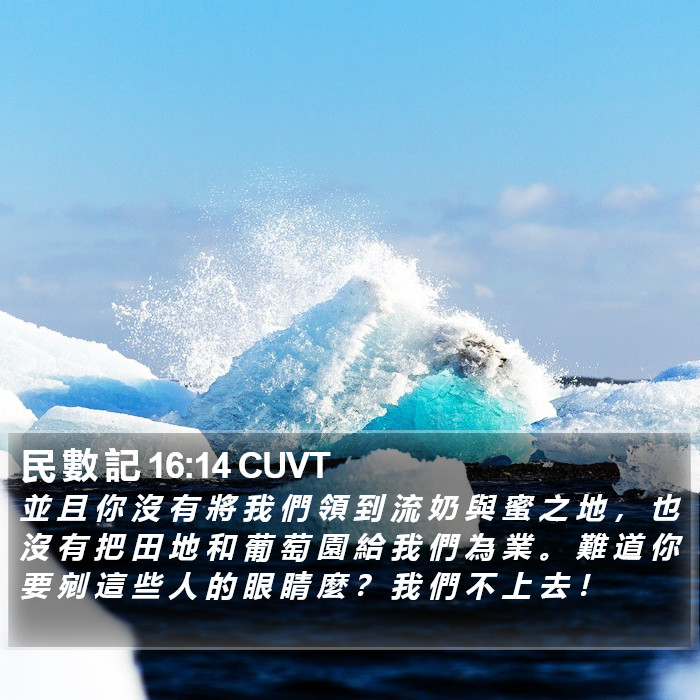 民 數 記 16:14 CUVT Bible Study