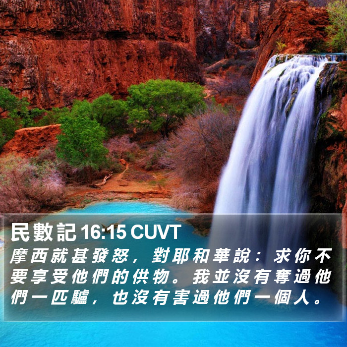 民 數 記 16:15 CUVT Bible Study