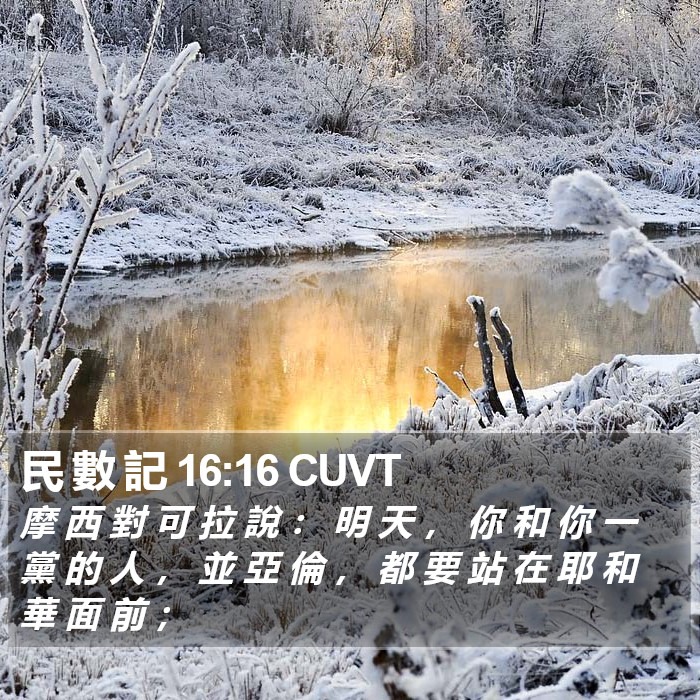 民 數 記 16:16 CUVT Bible Study