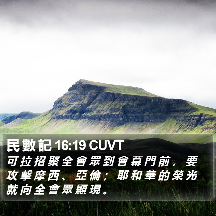 民 數 記 16:19 CUVT Bible Study