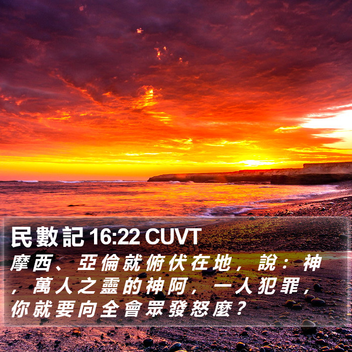 民 數 記 16:22 CUVT Bible Study