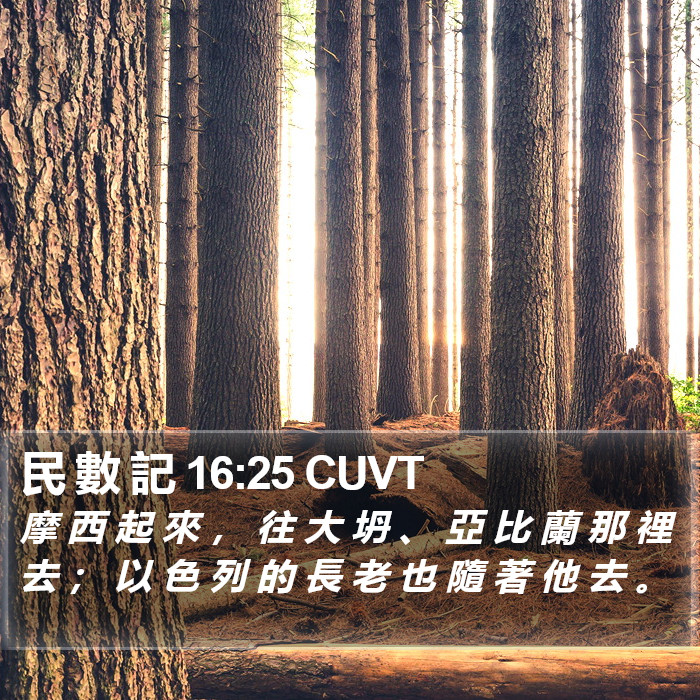 民 數 記 16:25 CUVT Bible Study