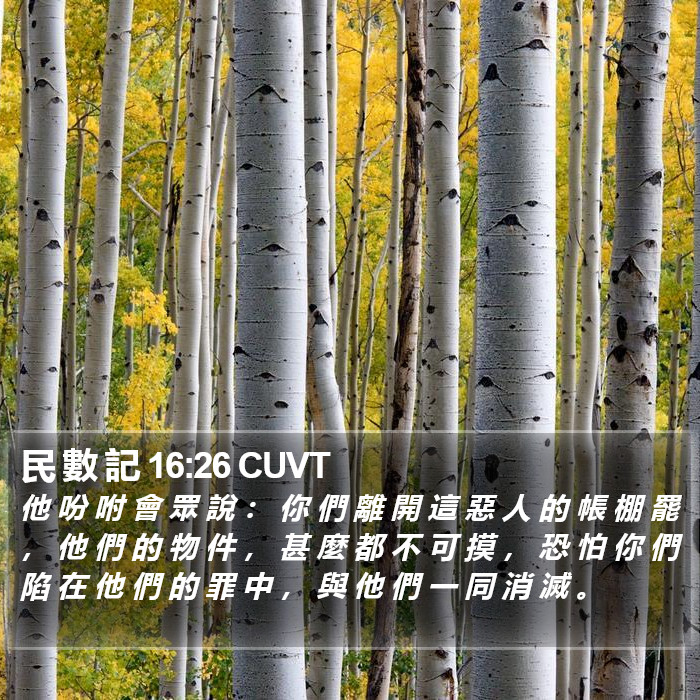 民 數 記 16:26 CUVT Bible Study